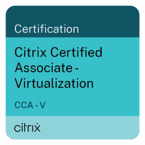 Citrix 3